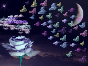Картинка 3д графика flowers цветы бабочки роза облака луна