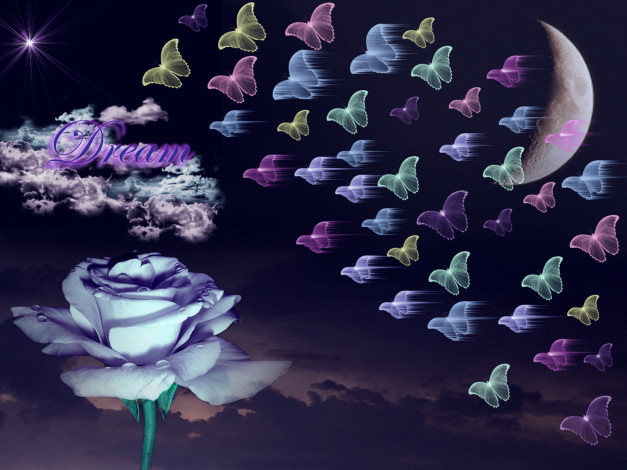Обои картинки фото 3д, графика, flowers, цветы, бабочки, роза, облака, луна