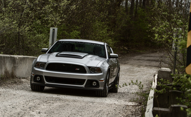 Обои картинки фото автомобили, mustang, ford