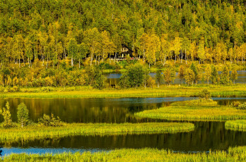 Картинка природа реки озера трава осень холмы горы деревья лес дом озеро норвегия