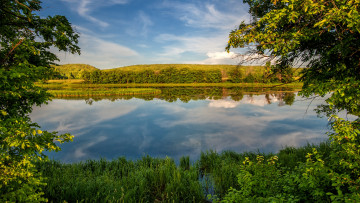 Картинка природа реки озера зелень гладь