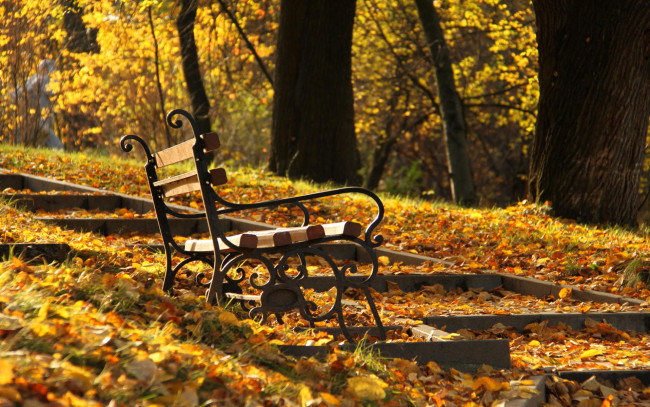 Обои картинки фото природа, парк, деревья, скамейка, осень, листья