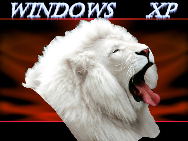 Обои картинки фото lion, компьютеры, windows, xp
