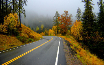 обоя осень, природа, дороги