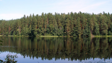Картинка Чарское озеро природа реки озера берег лес