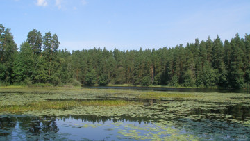 Картинка Чарское озеро природа реки озера лес