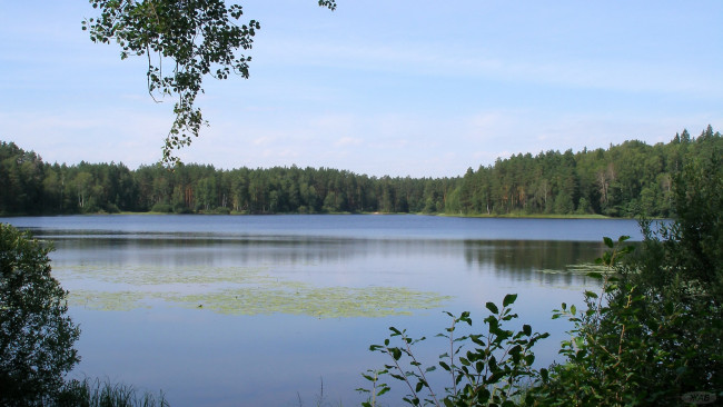 Обои картинки фото Чарское, озеро, природа, реки, озера, лес