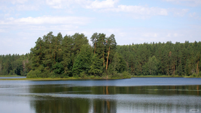Обои картинки фото Чарское, озеро, природа, реки, озера, остров, вода, лес