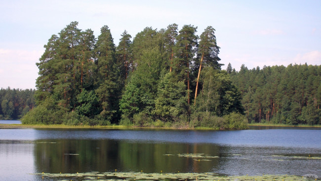 Обои картинки фото Чарское, озеро, природа, реки, озера, вода, лес, остров