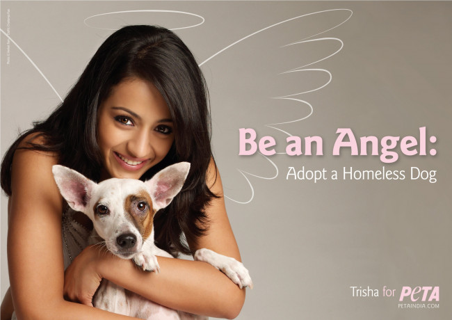 Обои картинки фото бренды, peta, people, for, the, ethical, treatment, of, animals, индианка, собака