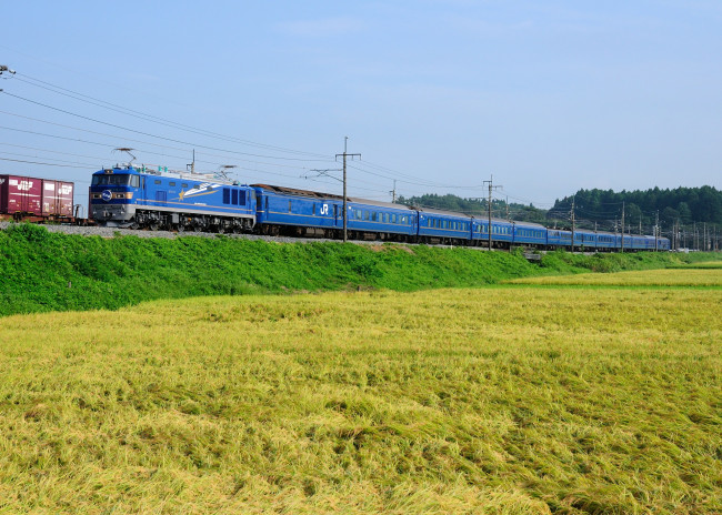 Обои картинки фото техника, поезда, поезд, поле