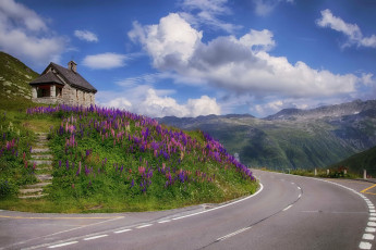 Картинка швейцария реальп природа дороги домик дорога цветы
