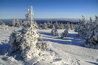 Картинка saxony anhalt germany природа зима снег германия саксония-анхальт saxony-anhalt деревья
