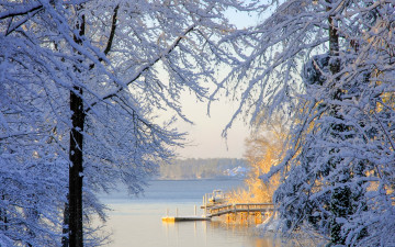 Картинка lake murray south carolina природа зима деревья снег южная каролина озеро мюррей