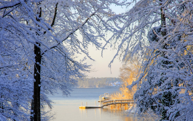 Обои картинки фото lake, murray, south, carolina, природа, зима, деревья, снег, южная, каролина, озеро, мюррей