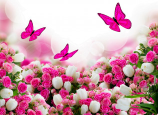 Картинка разное компьютерный+дизайн бабочки цветы розы тюльпаны листики