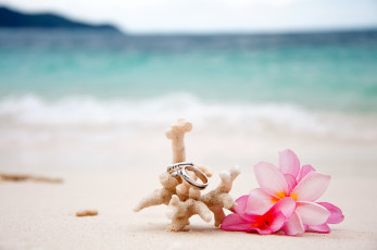 Картинка разное украшения +аксессуары +веера flowers beach sand coral plumeria rings wedding