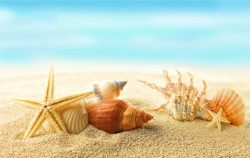 обоя разное, ракушки,  кораллы,  декоративные и spa-камни, sea, seashells, sand, beach, summer, песок, пляж, море, starfishes, sunshine, солнце, звезды