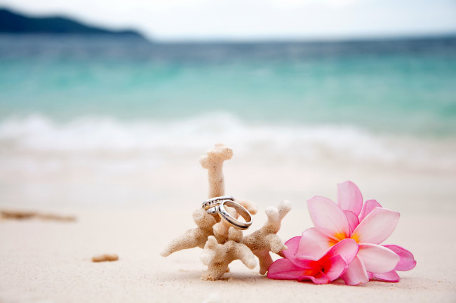 Обои картинки фото разное, украшения,  аксессуары,  веера, flowers, beach, sand, coral, plumeria, rings, wedding