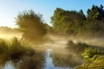 Картинка природа реки озера небо деревья утро туман пруд