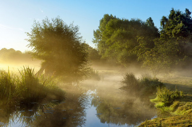 Обои картинки фото природа, реки, озера, небо, деревья, утро, туман, пруд