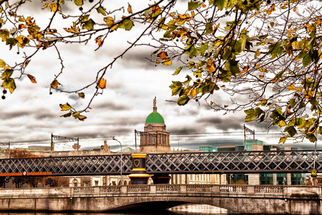 Обои картинки фото города, дублин , ирландия, мост, осень, собор, купол, листья, ветки, река, дублин