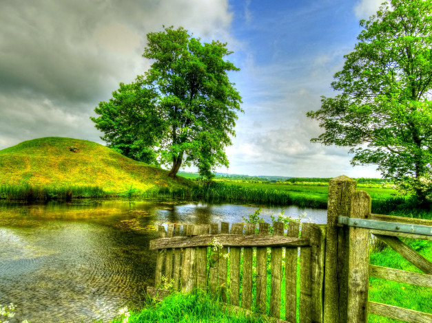 Обои картинки фото природа, реки, озера, забор, пруд, лето, облака, небо, зелень, поле, деревья, камыши, трава