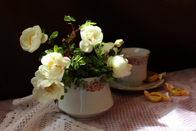 Обои картинки фото цветы, розы, конфеты, ветки, шиповник, вазочка, салфетка, цветки, чашка