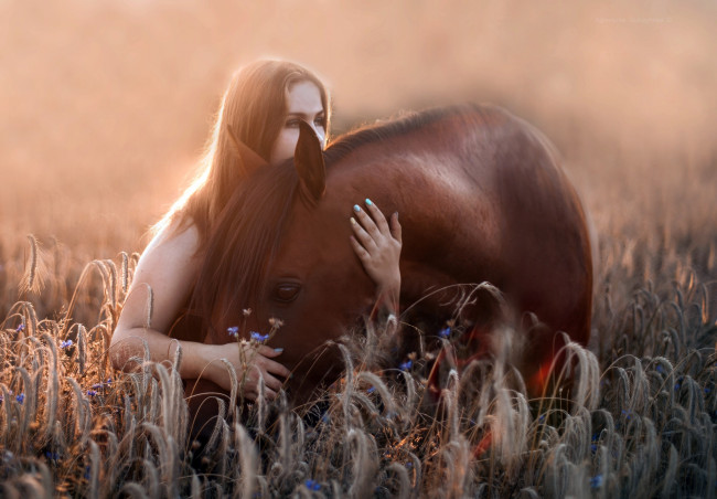 Обои картинки фото девушки, -unsort , рыжеволосые и другие, поле, лошадь, девушка