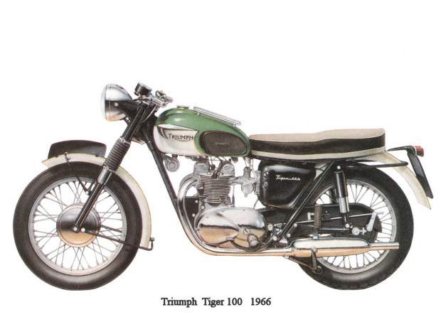 Обои картинки фото tryumph, tiger, 100, мотоциклы, triumph