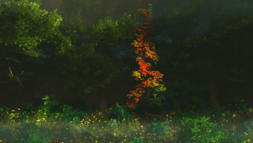 Картинка 3д графика nature landscape природа осень цветы лес деревья
