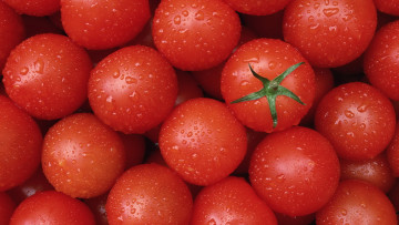 обоя еда, помидоры, чистые, красные, вкусно, капли, воды, томаты