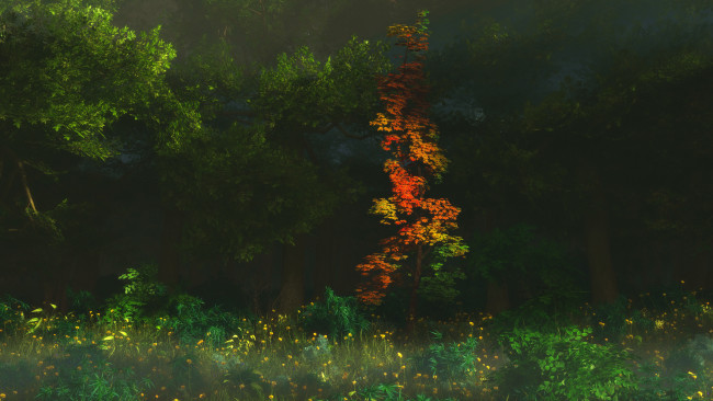 Обои картинки фото 3д, графика, nature, landscape, природа, осень, цветы, лес, деревья