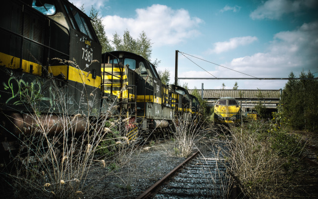 Обои картинки фото train, техника, поезда, рельсы, пути, бурьян