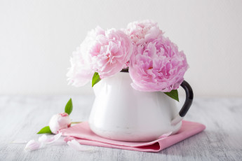 Картинка цветы пионы натюрморт лепестки розовые