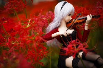 Картинка разное игрушки игрушка цветы кукла скрипка