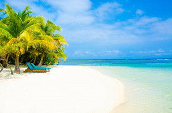 Картинка природа тропики море солнышко песок пальмы пляж