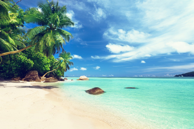 Обои картинки фото природа, тропики, солнышко, песок, пальмы, пляж, море