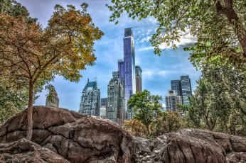 Картинка new+york+central+park города нью-йорк+ сша парк