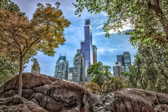 Обои картинки фото new york central park, города, нью-йорк , сша, парк