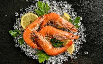 Картинка еда рыба +морепродукты +суши +роллы лимон лед зелень креветки морепродукты