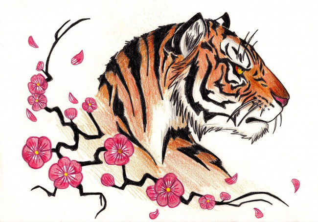 Обои картинки фото рисованное, животные,  тигры, тигр, голова, сакура