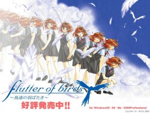обоя аниме, flutter, of, birds