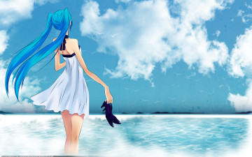 Картинка аниме vocaloid девушка туфли небо птицы hatsune miku море