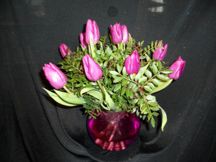 Картинка цветы тюльпаны букет ваза