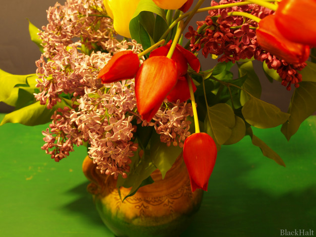 Обои картинки фото цветы, разные, вместе, сирень, тюльпаны
