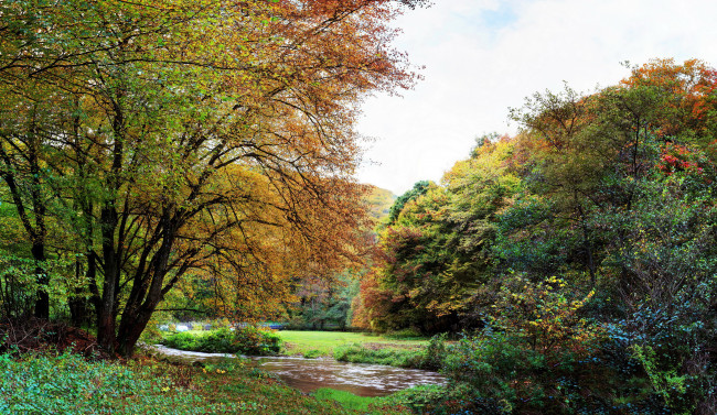 Обои картинки фото германия, трайс, карден, природа, парк, деревья, осень, река