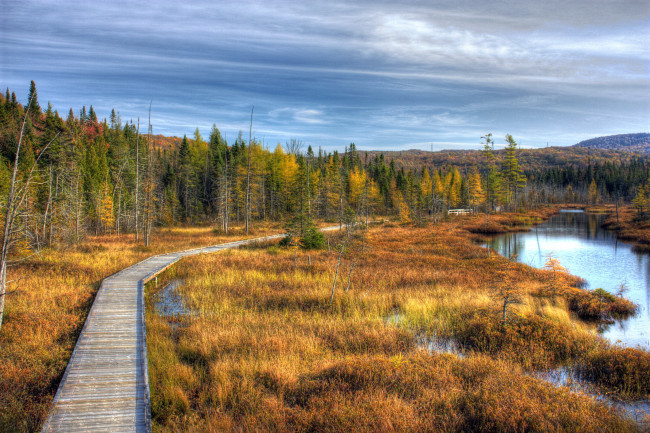Обои картинки фото квебек, канада, природа, пейзажи, тропа, осень, лес, озеро
