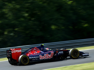 Картинка спорт автоспорт toro трек скорость гонка 2014г str9 rosso