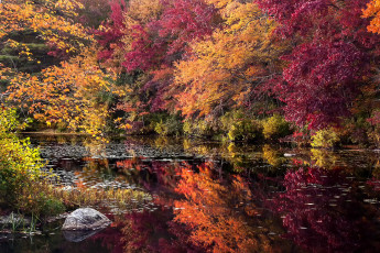 Картинка природа реки озера осень река лес